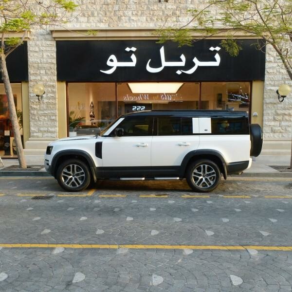 ديفندر 130 اس اي 2023 - 10