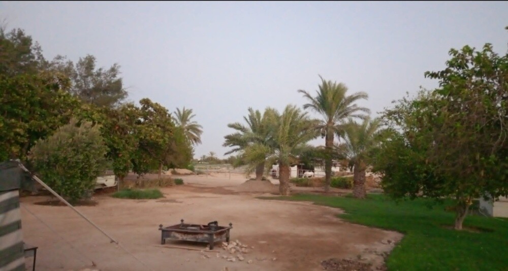 للبيع مزرعه منتجه بالزبارة - 5
