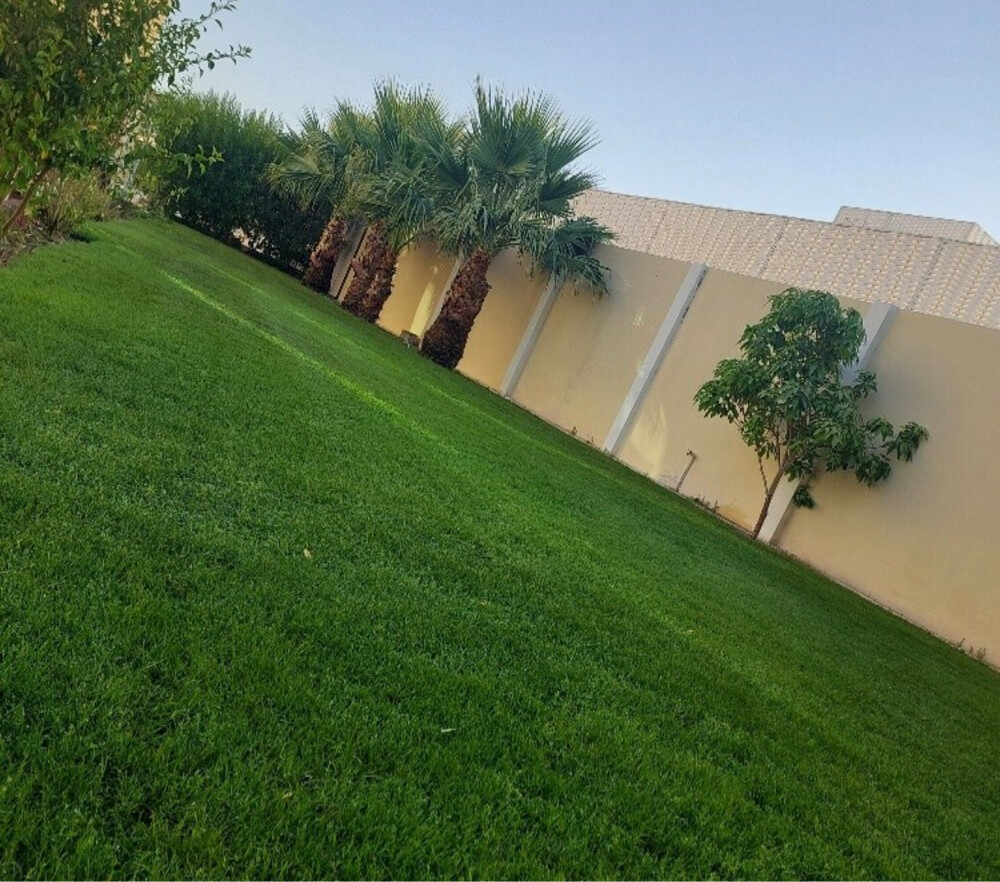 زراعه - 1