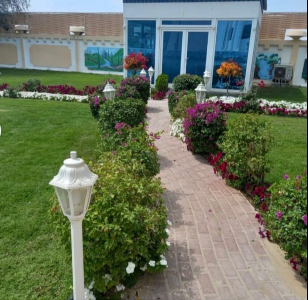 عشب طبيعي - 6