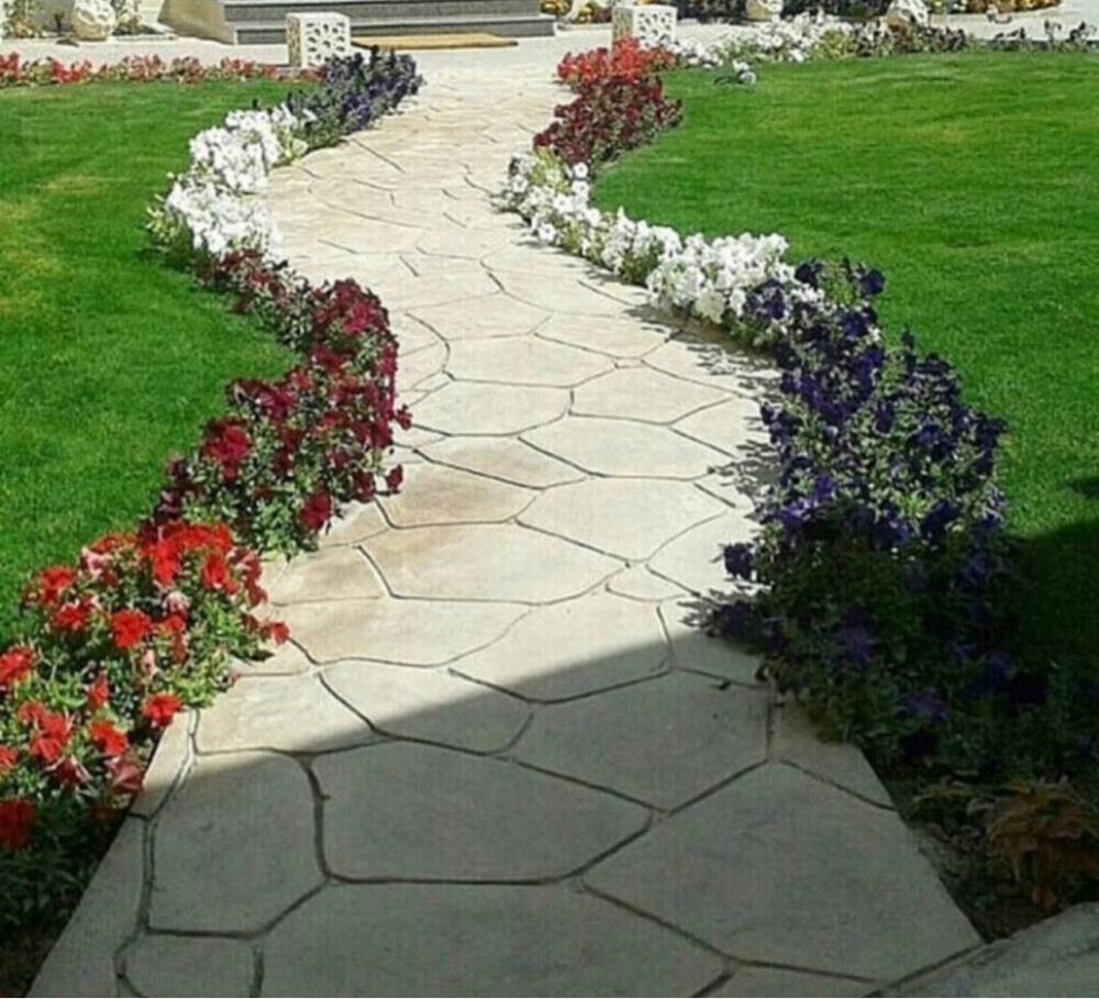 عشب طبيعي - 5