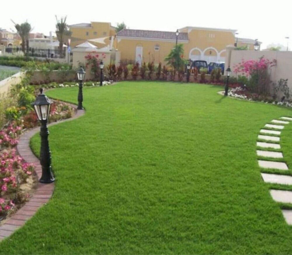 عشب طبيعي - 7