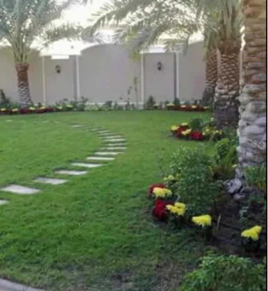 عشب طبيعي - 8