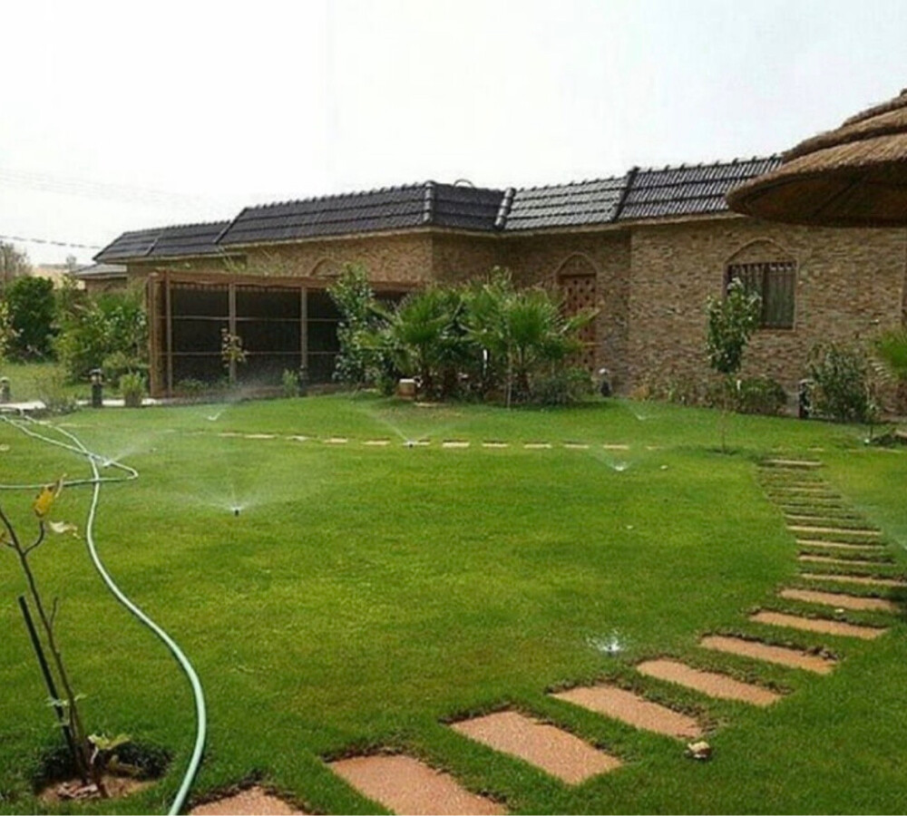 عشب طبيعي - 2