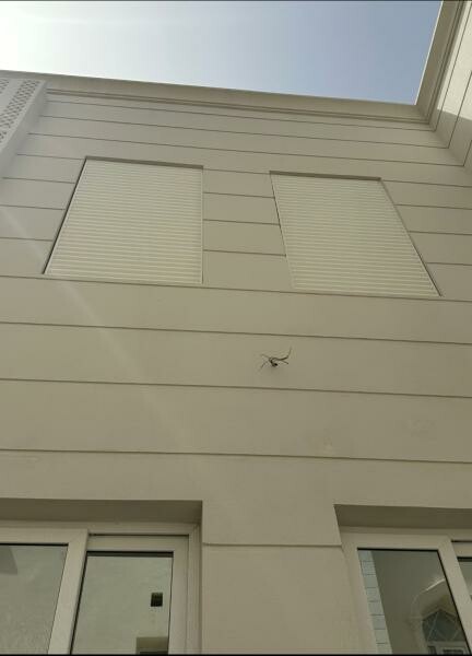 BENT HOUSE FOR RENT - 1