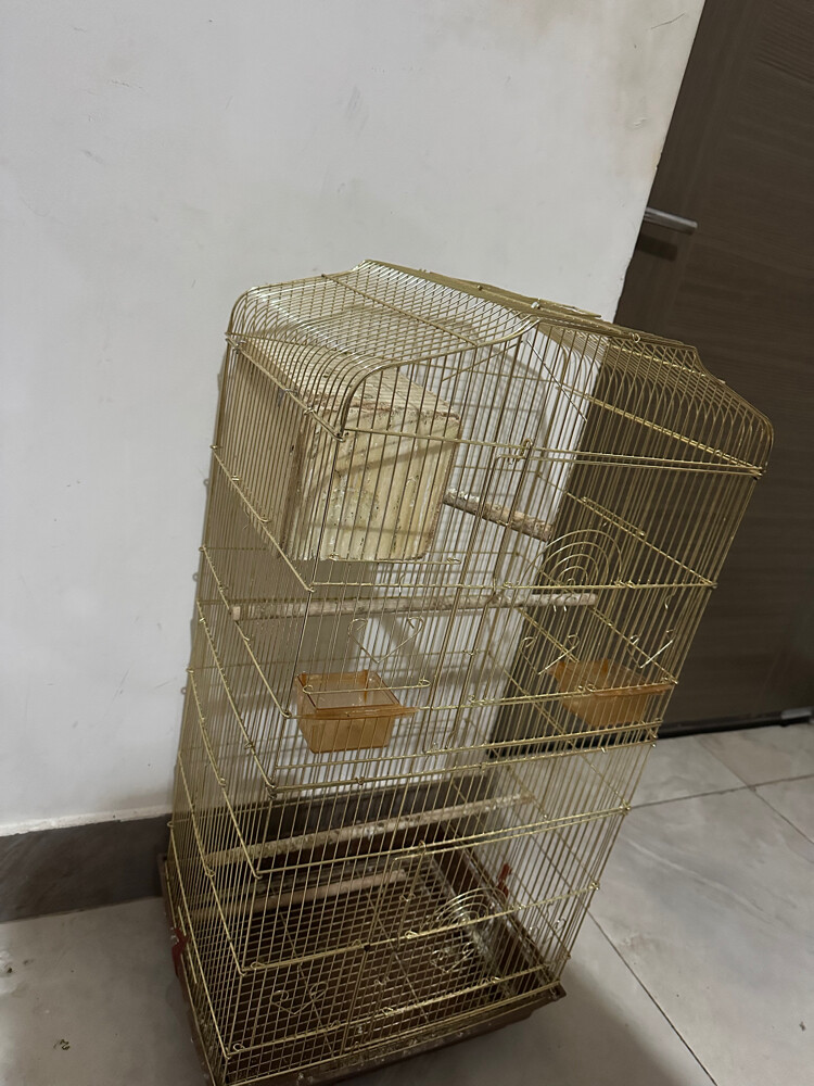 Bird cage - 2