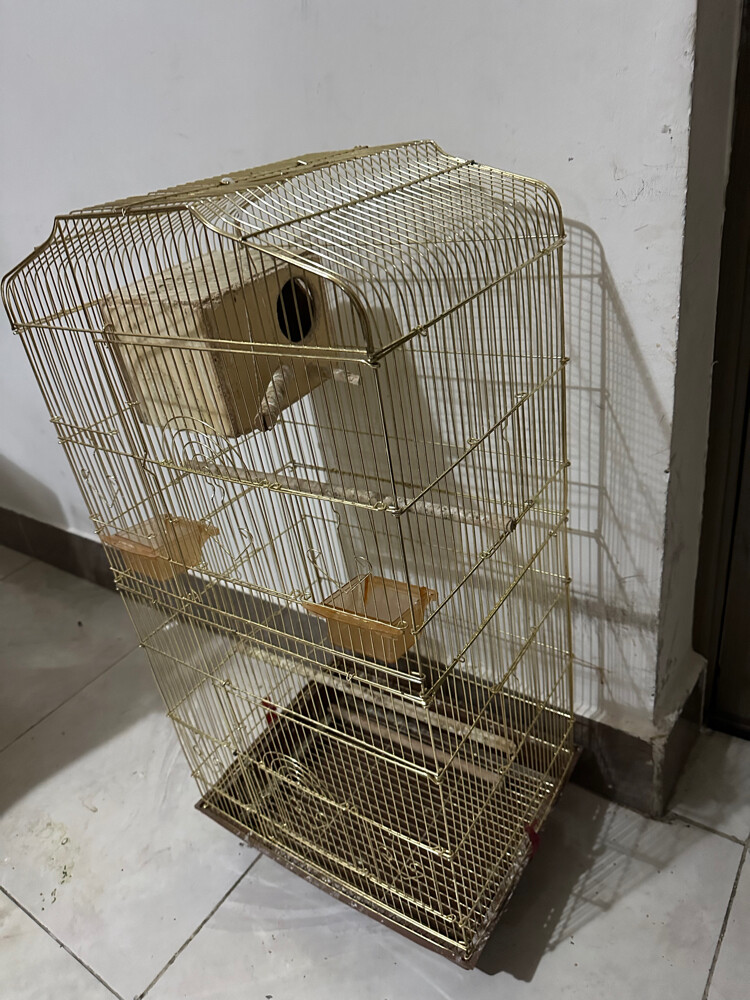 Bird cage - 3
