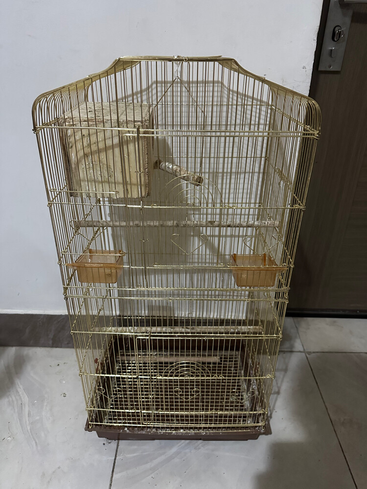 Bird cage - 1