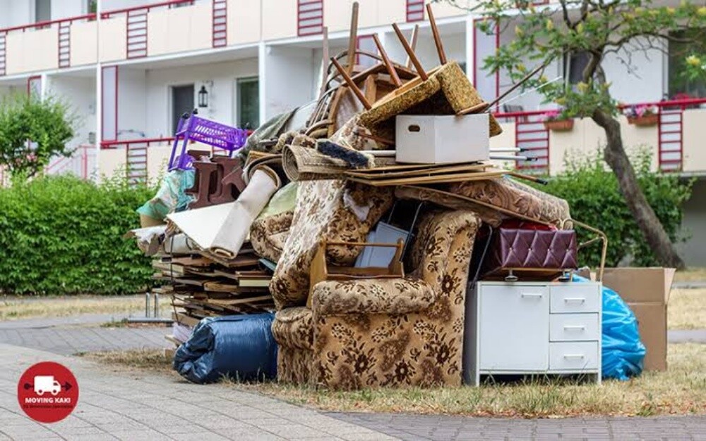 waste removel - 6