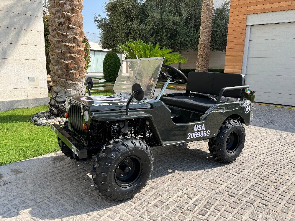 Mini jeep for kids 150cc - 4