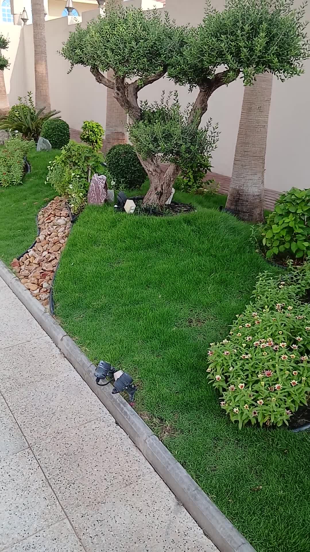 التنسيق وتعاقد شهري للحديقة - 1