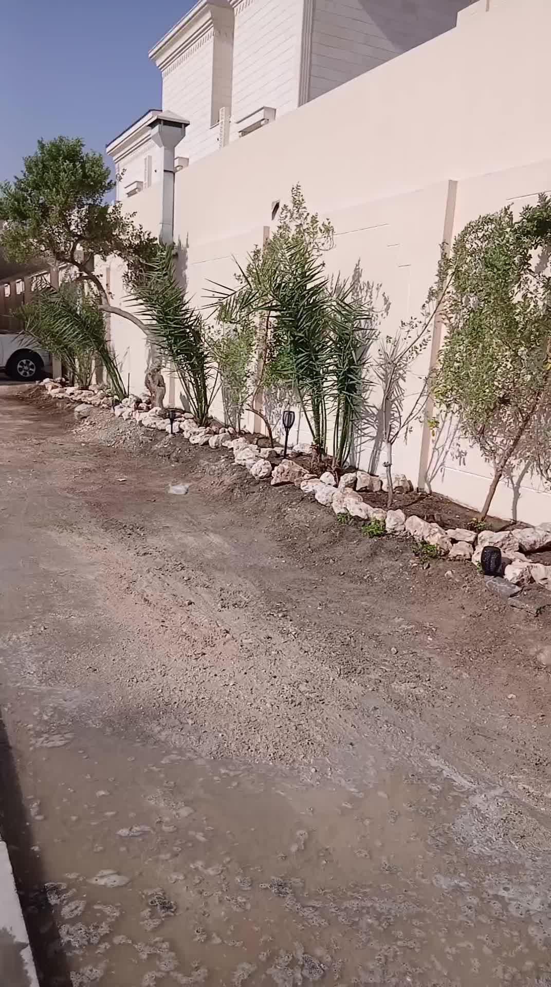 تنظيف حديقه خارجية - 1