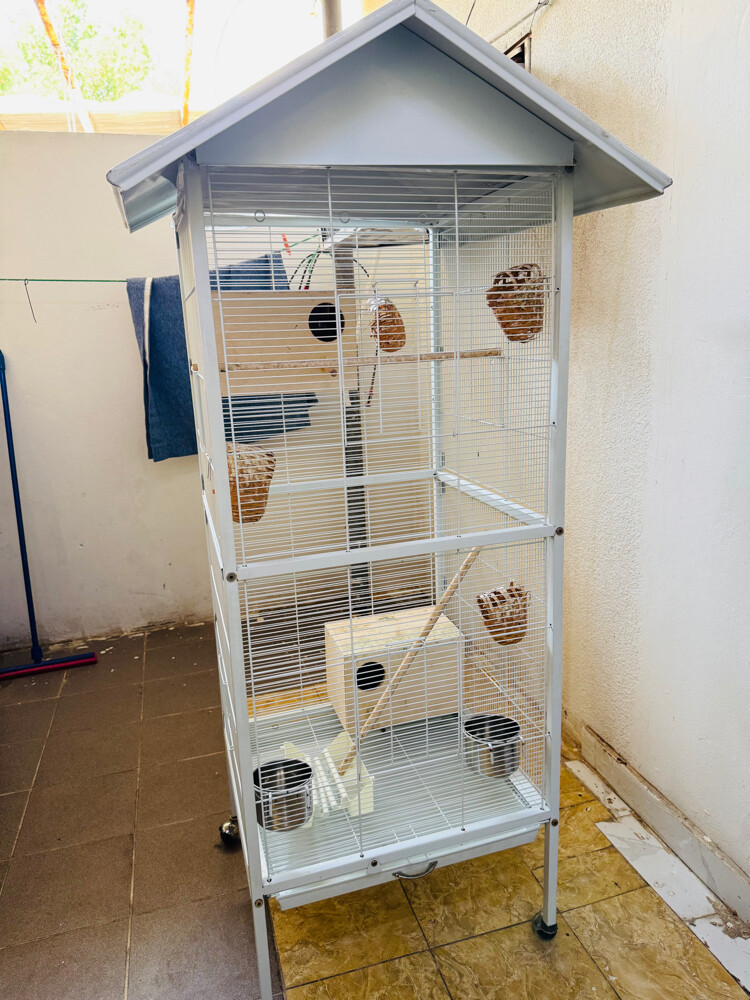 Big birds Cage - 1