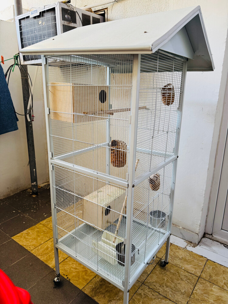 Big birds Cage - 2
