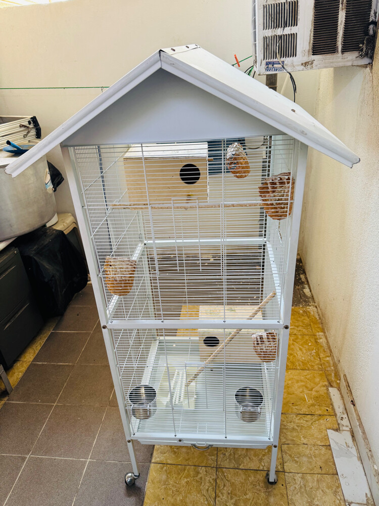 Big birds Cage - 3