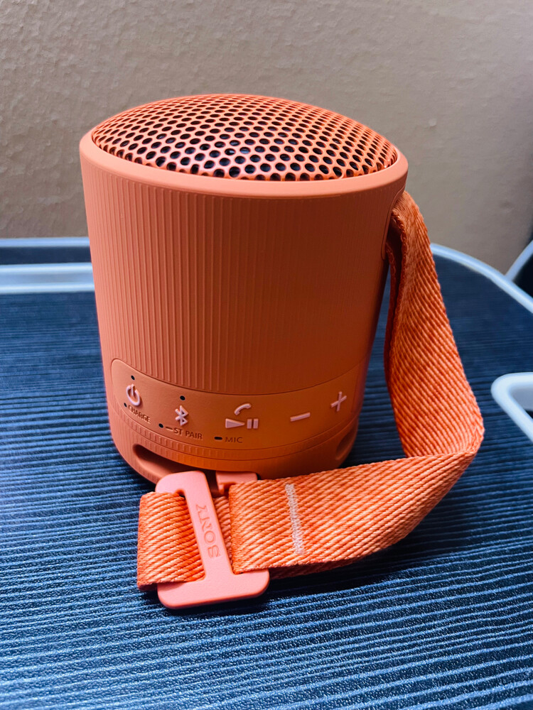 Sony XB100 wireless speaker - 2
