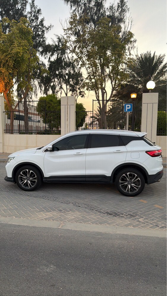 جيلي - 3