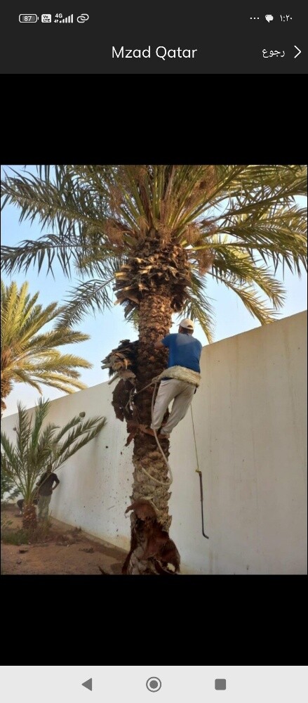 عقود شهريه للحدائق خدمات - 3