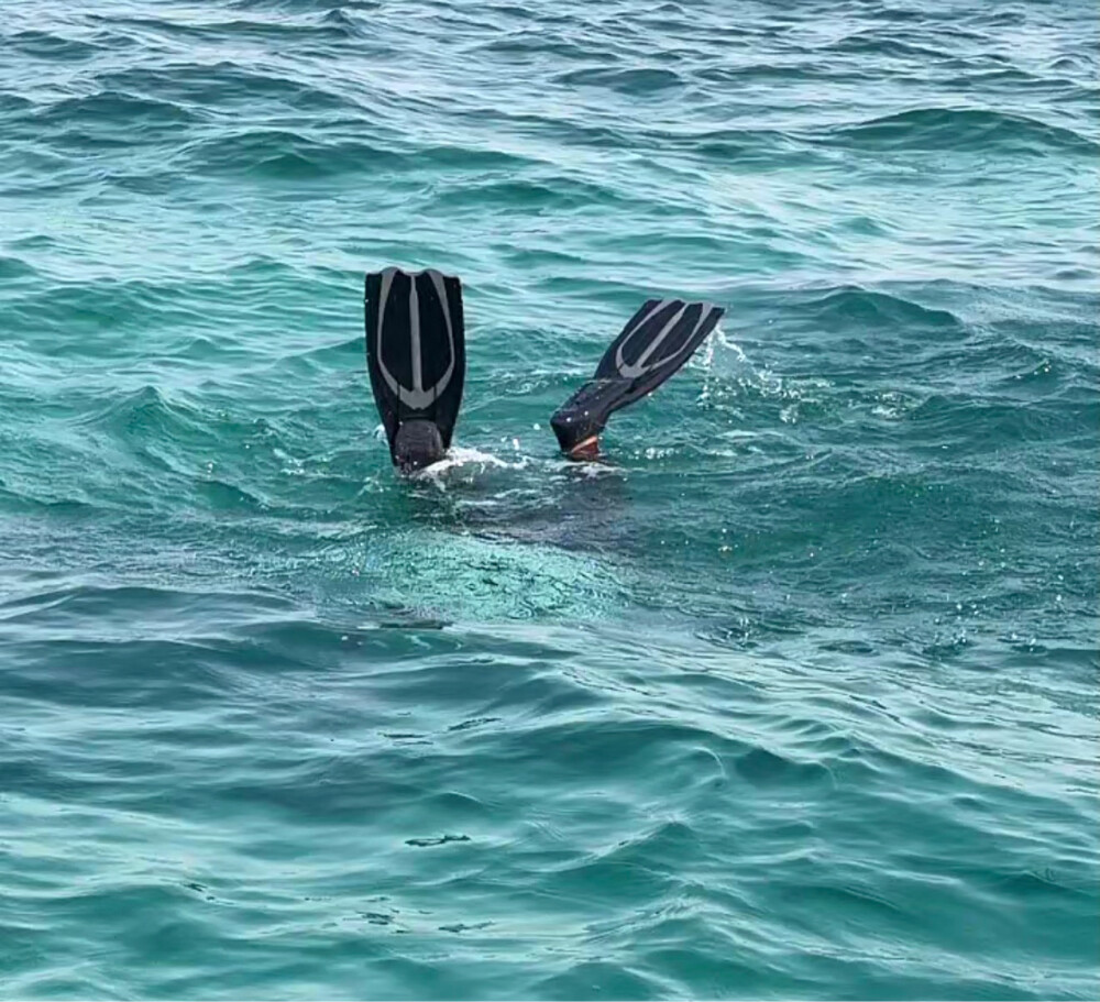 Boat for rent. - 15