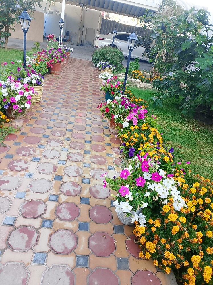 مزارع محترف - 5