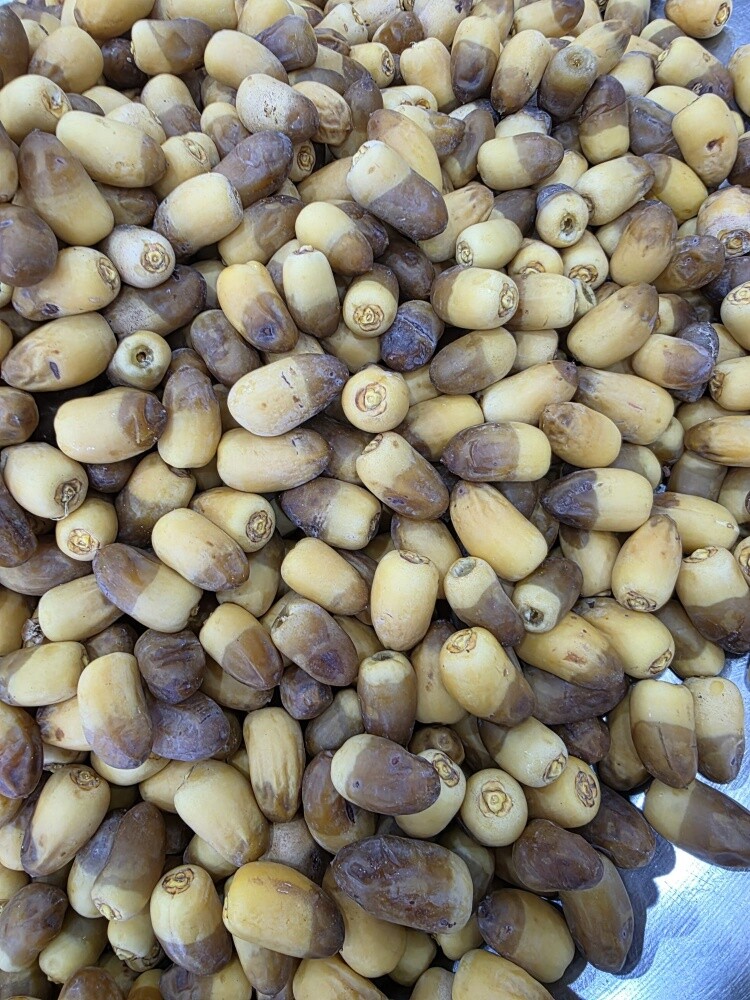مزارع محترف - 4