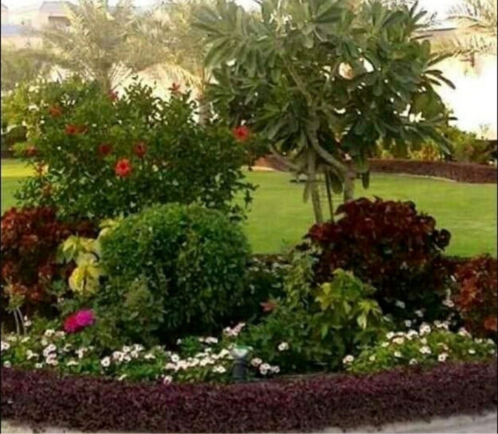 زراعه - 6