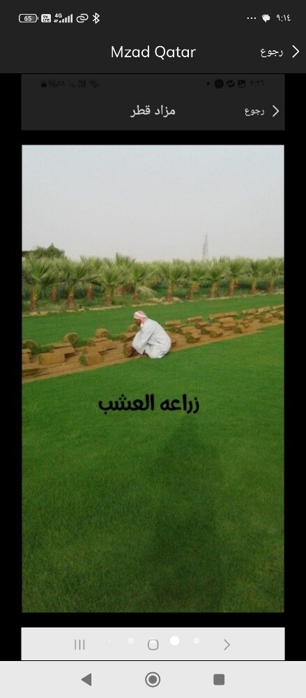 عقود شهريه لصيانه الحدائق - 9