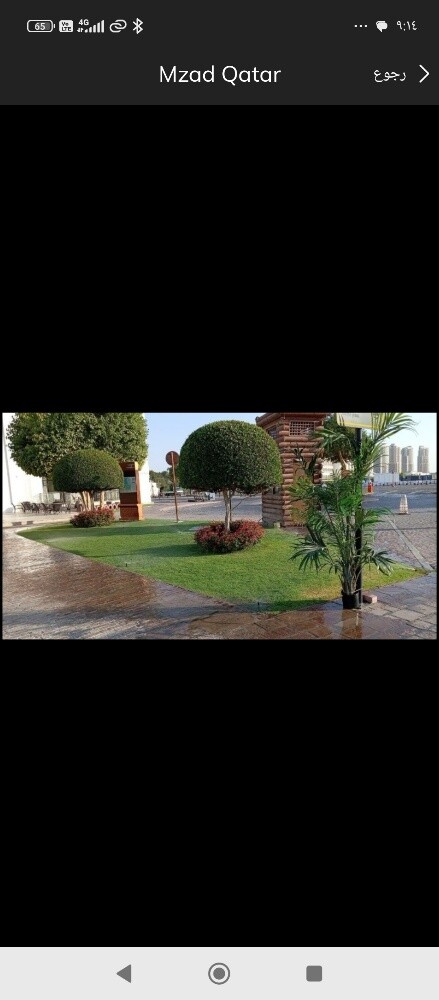 الاعتناء بالحديقه - 6