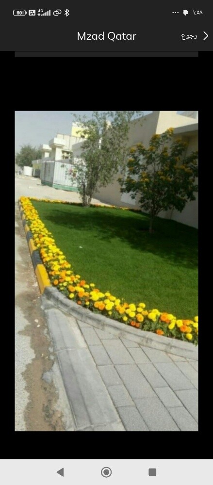 نقل الاشجار والنخيل وتقطيع الاشجا - 6