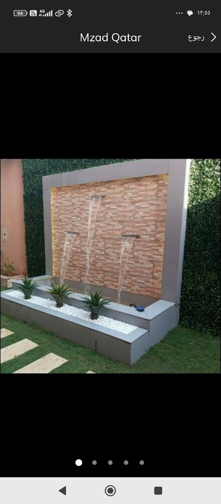 نخيل زينه واشنطنيو ونخل مثمره - 9