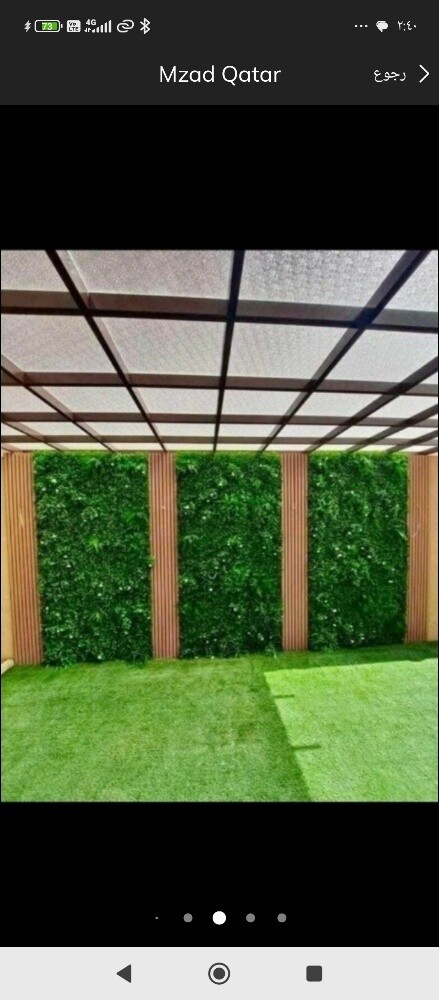 نخيل زينه واشنطنيو ونخل مثمره - 4