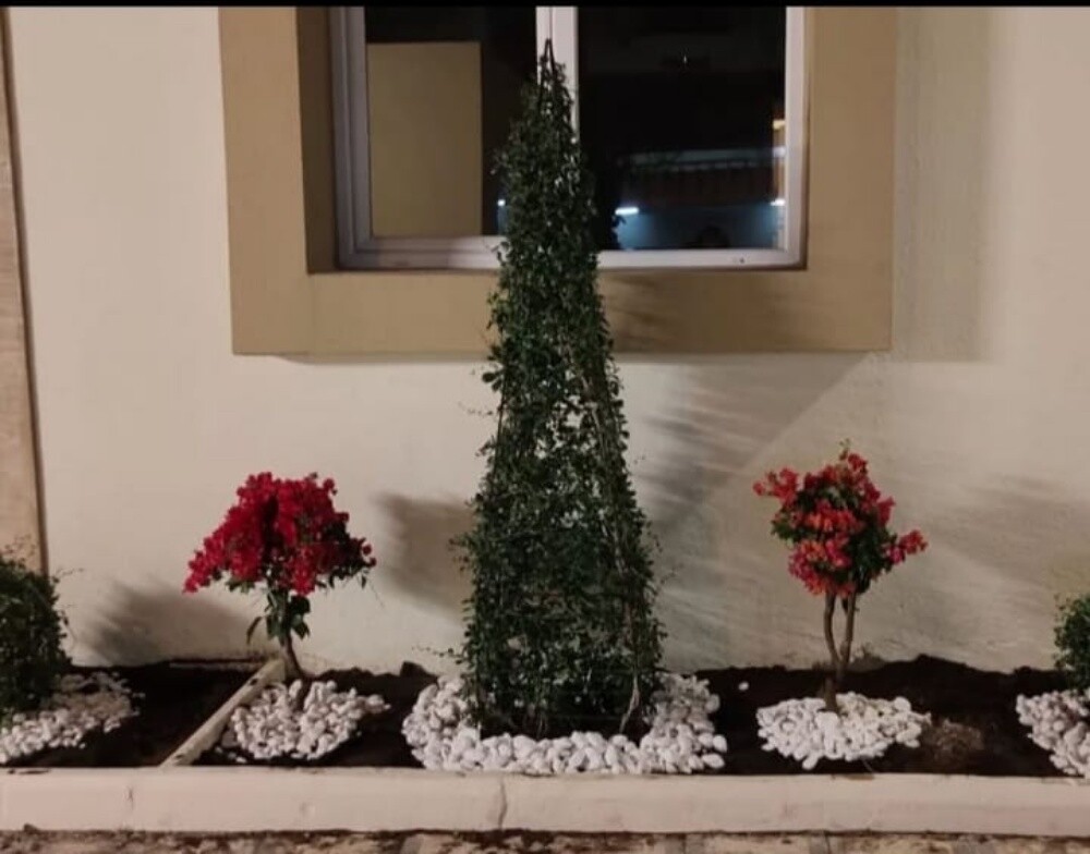 العنايه بالحدائق - 25