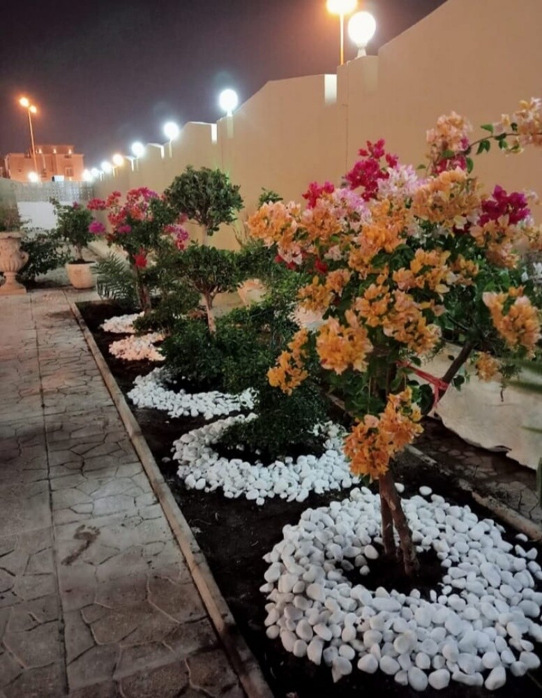 العنايه بالحدائق - 21