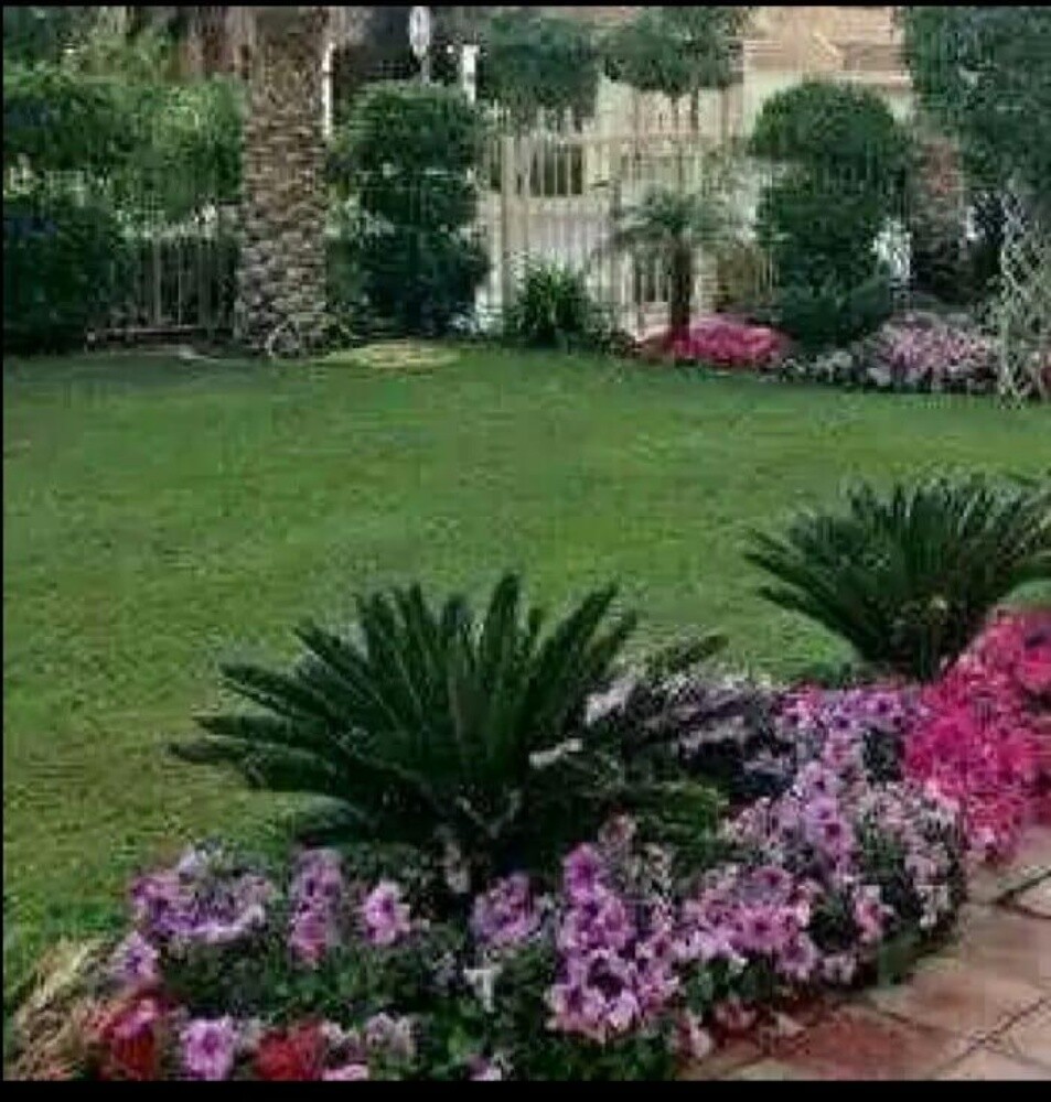 العنايه بالحدائق - 8