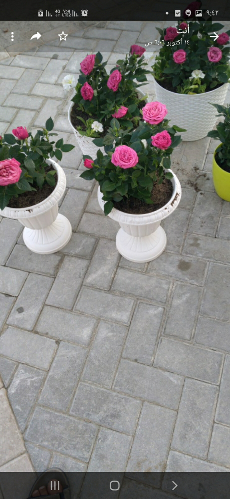 شغل على الطوف - 2