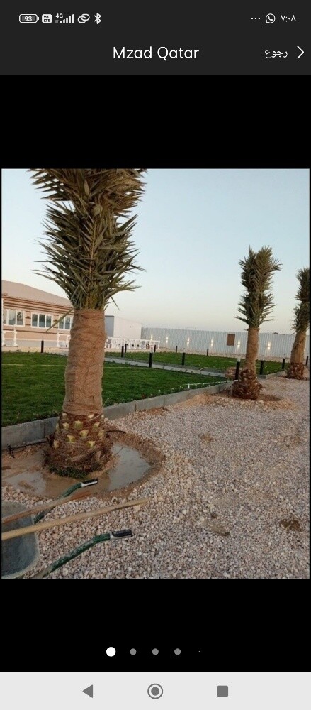 تنسيق وترتيب الحدائق - 3