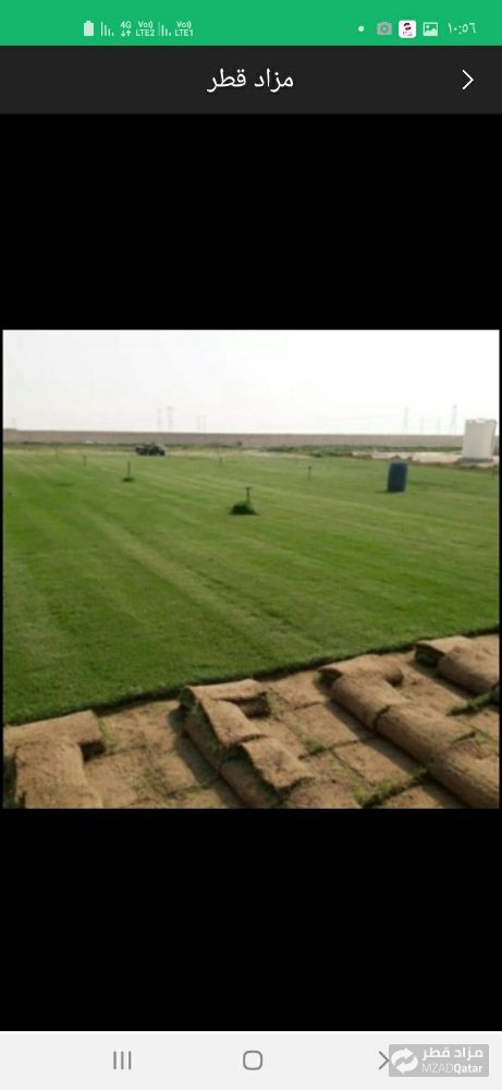 عشب رولات للبيع - 2