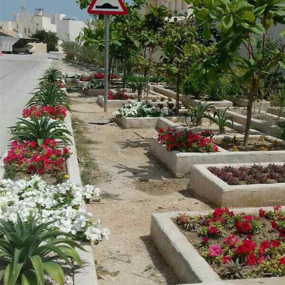 عمل زراعه - 1