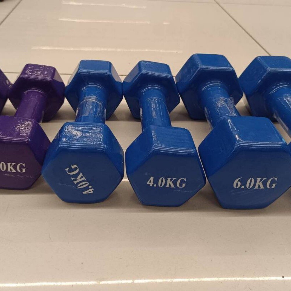 vinyl bumbell 1-10kg pair - 2