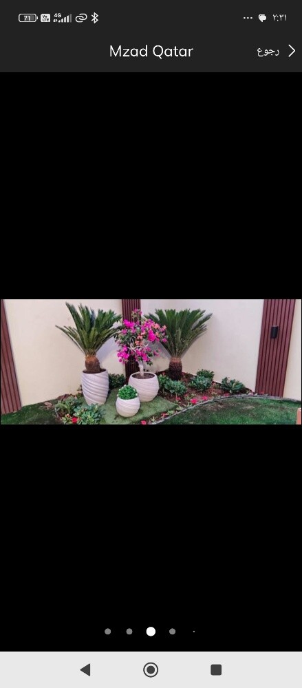 زراعه العشب والنباتات بكل انواعها - 8