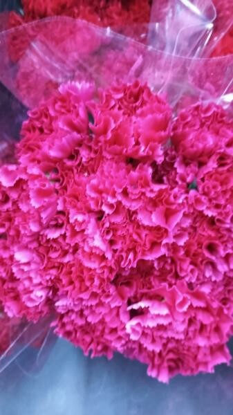 فن تنسيق الزهور - 6
