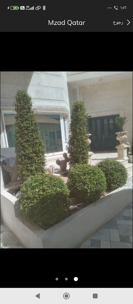 مزارع ومنصف حدائق - 2