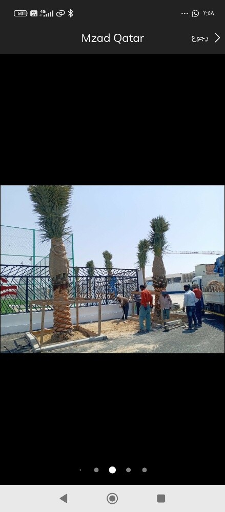 نخيل خدمات - 4