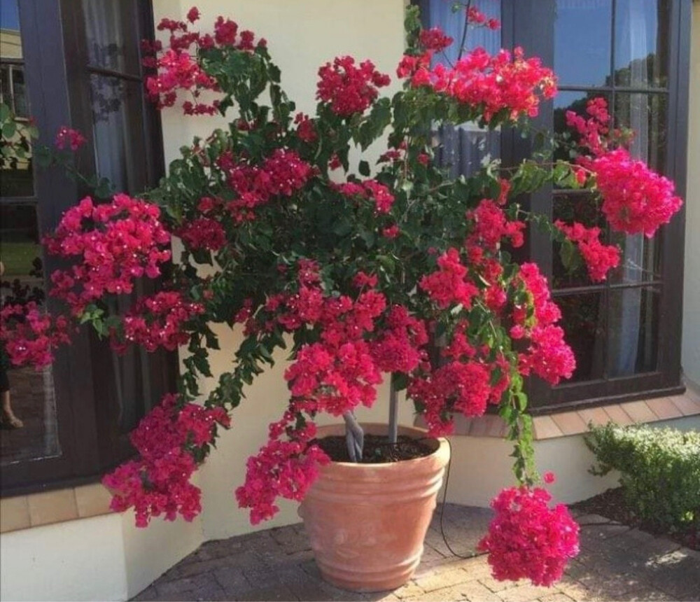 احواض زراعه - 5