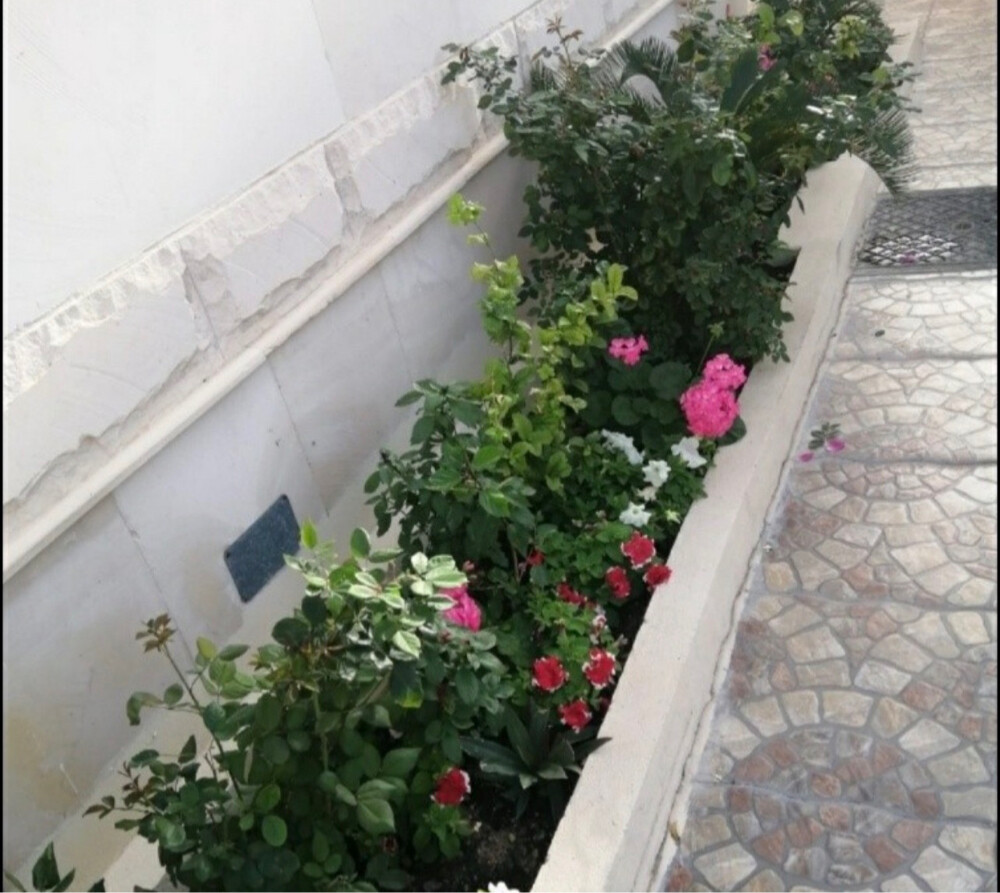 احواض زراعه - 3