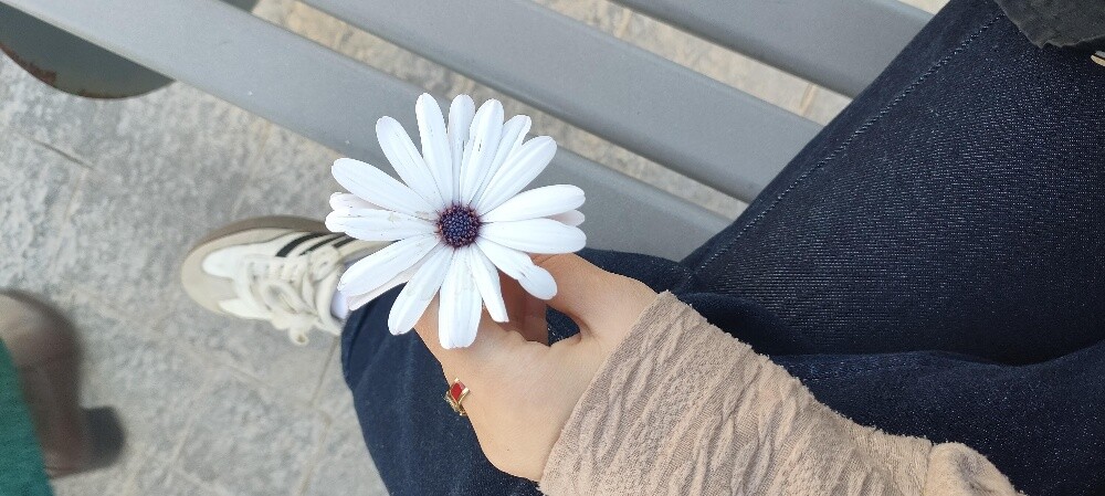 امنة ادارية - 1