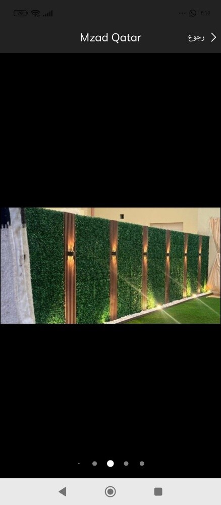 الاعتناء للحدائق بالشهر - 4