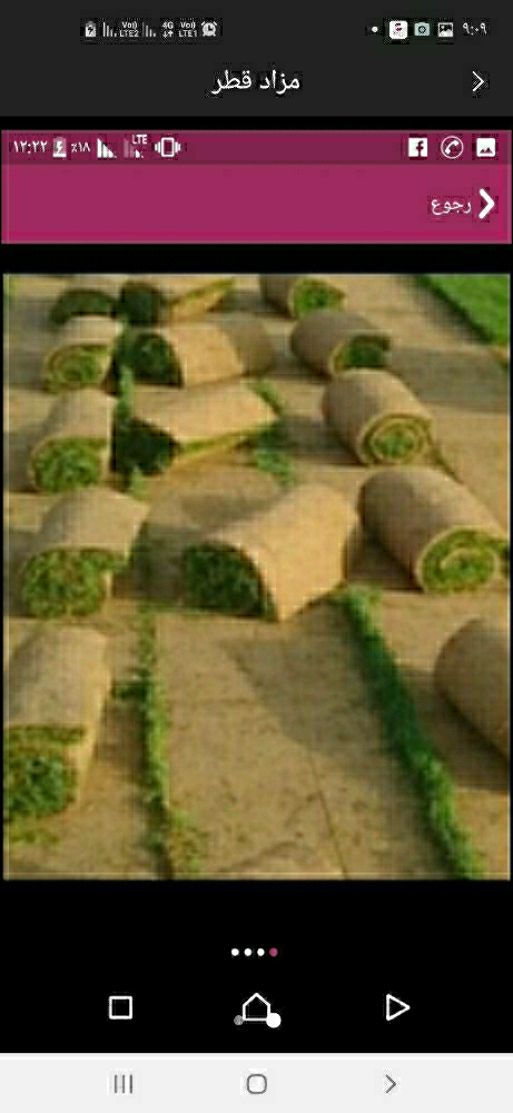 لدينا عشب للبيع - 1