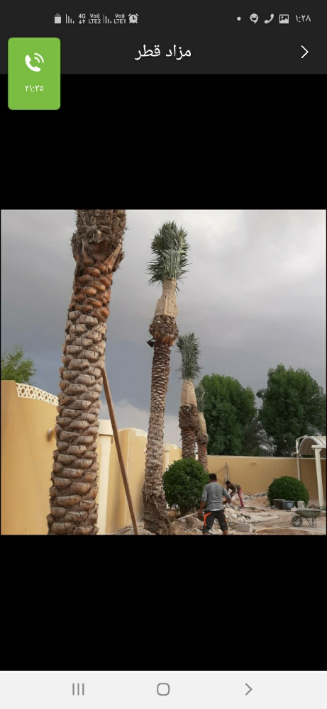 زراعه العشب - 26