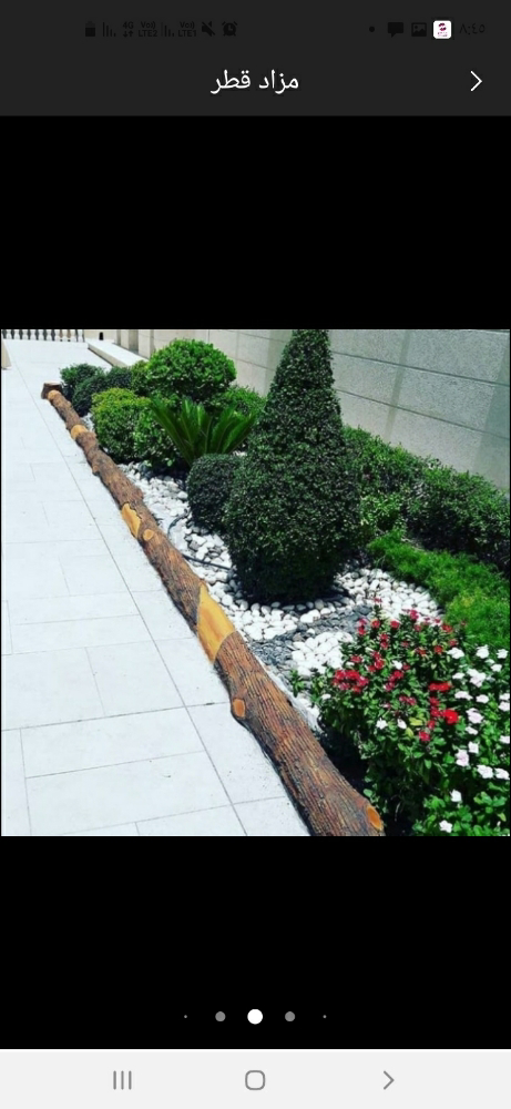 زراعه العشب - 1